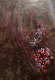 cache_img/h80_dbb62cd125d150a086a2946c36d80c9220.png